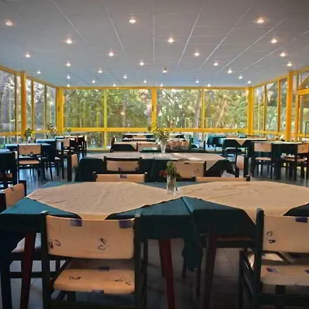 Varshava 2*